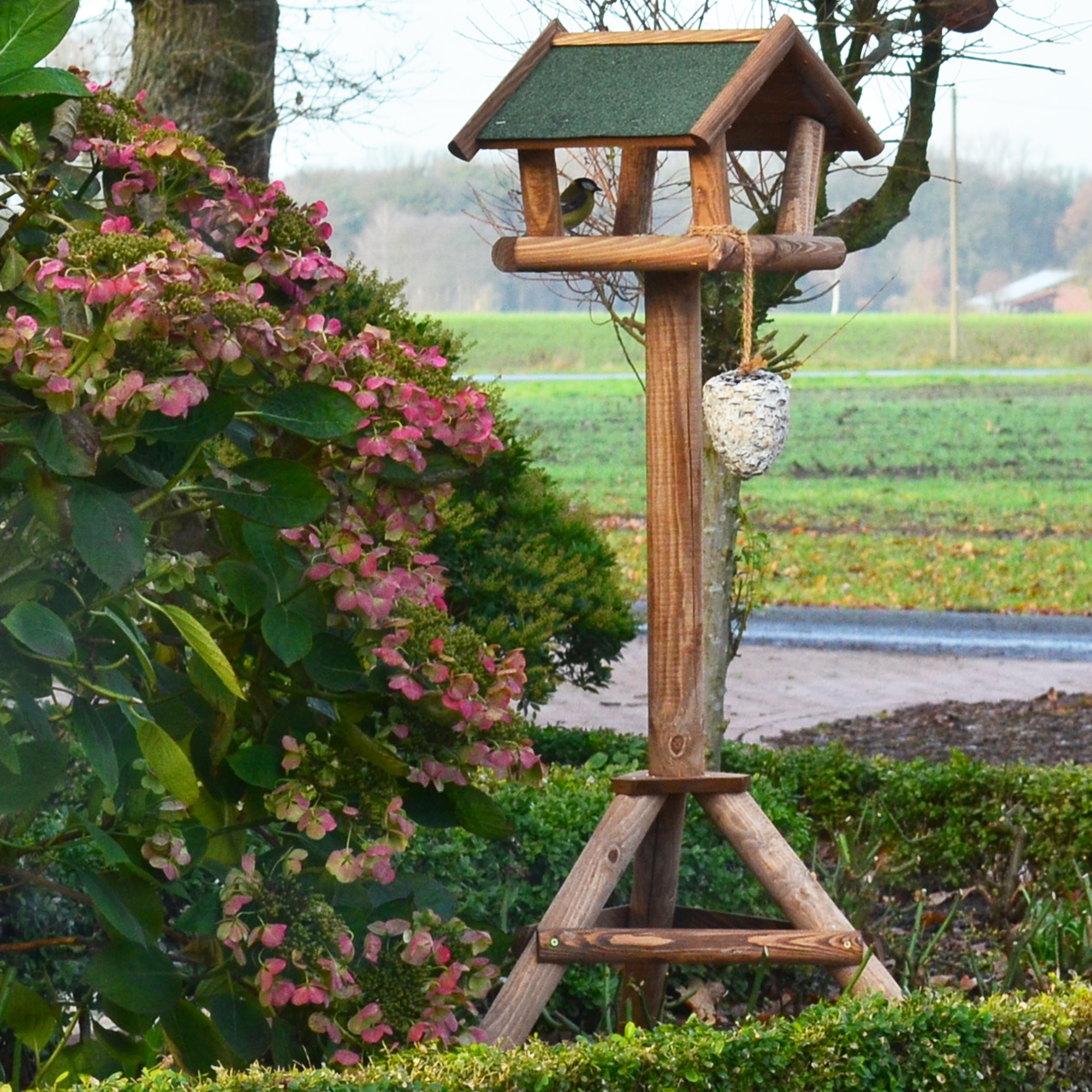 Vogelhaus Bird House aus Holz mit Futterspender im Garten neben blühenden Pflanzen und Büschen aufgestellt