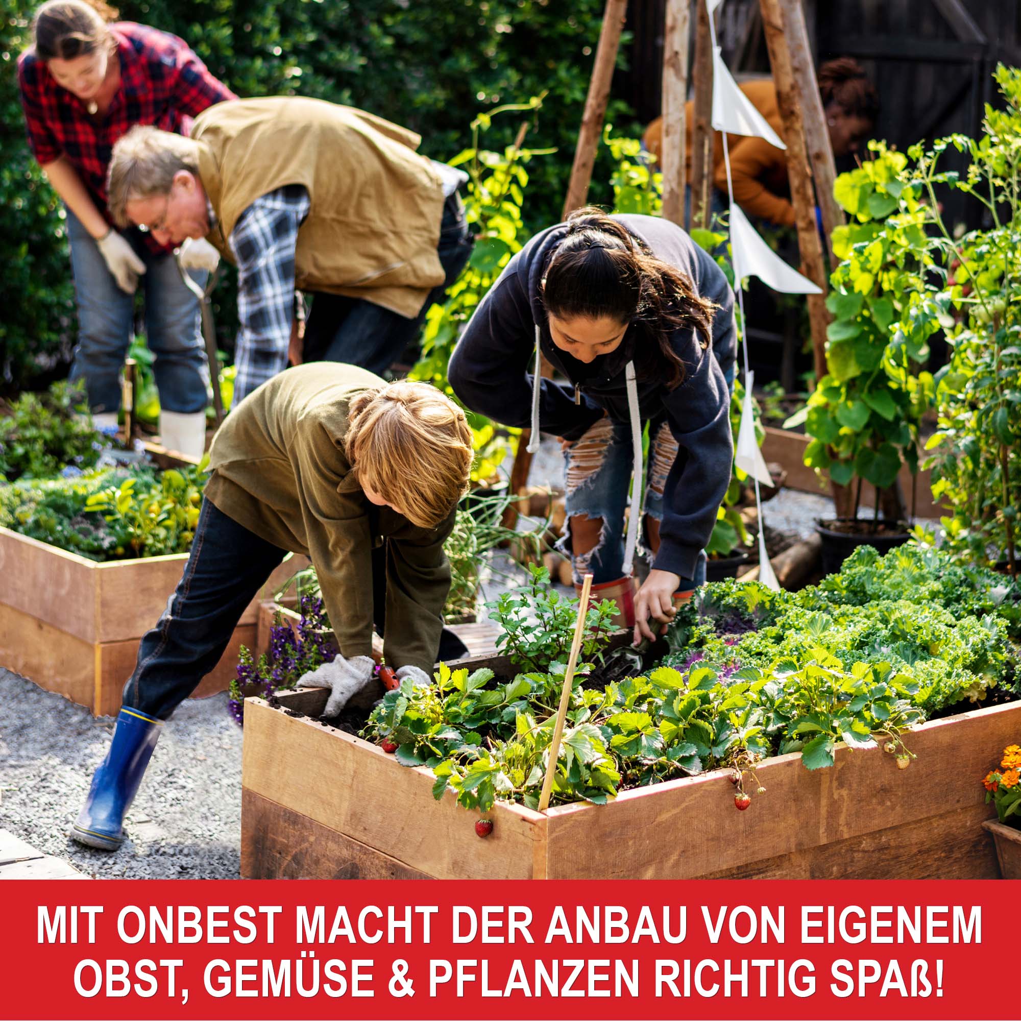 Mit Onbest macht der Anbau von eigenem Obst - Gemüse und Pflanzen richtig Spaß - Pflanzrahmen - Hochbeet - Gartenbox - Anzuchtrahmen - Blumenrahmen - Gemüserahmen - Kräuterrahmen - Pflanzkasten - Gartenrahmen