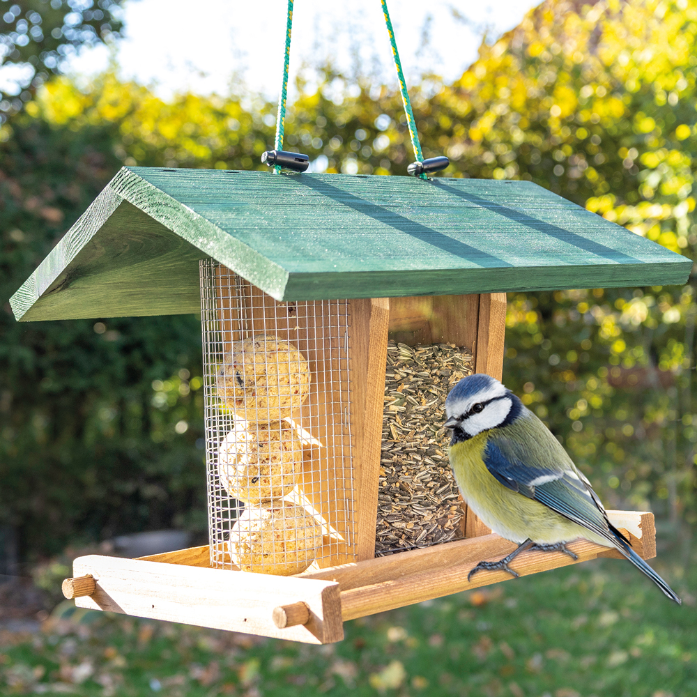 Vogelhaus Bird Kitchen Braun im grünen Garten mit grünen Dach gefüllt mit Meisenknödel und Streufutter , eine Blaumeise sitzt auf der Sitzstange