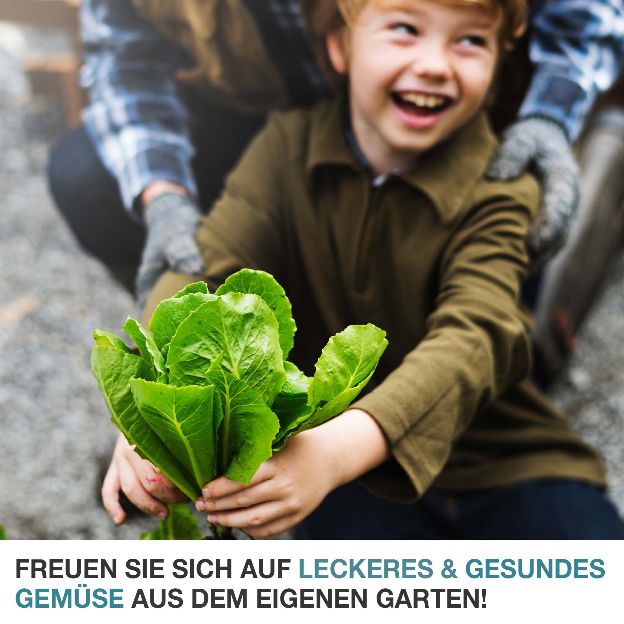 Freuen Sie sich auf leckeres und gesundes Gemüse aus dem eigenen Garten