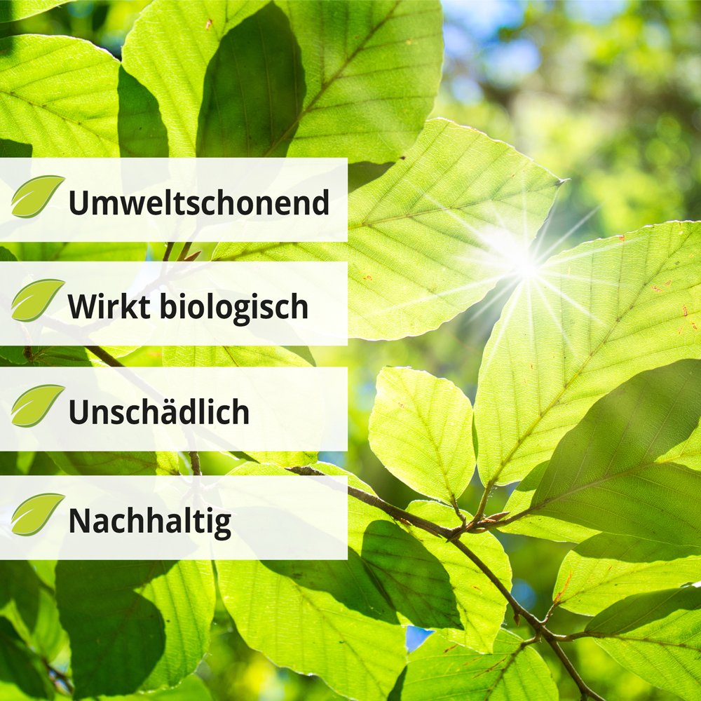 Geruchsvernichter umweltschonend biologisch wirksam unschädlich und nachhaltig für eine bessere Umwelt und gesunde Räume