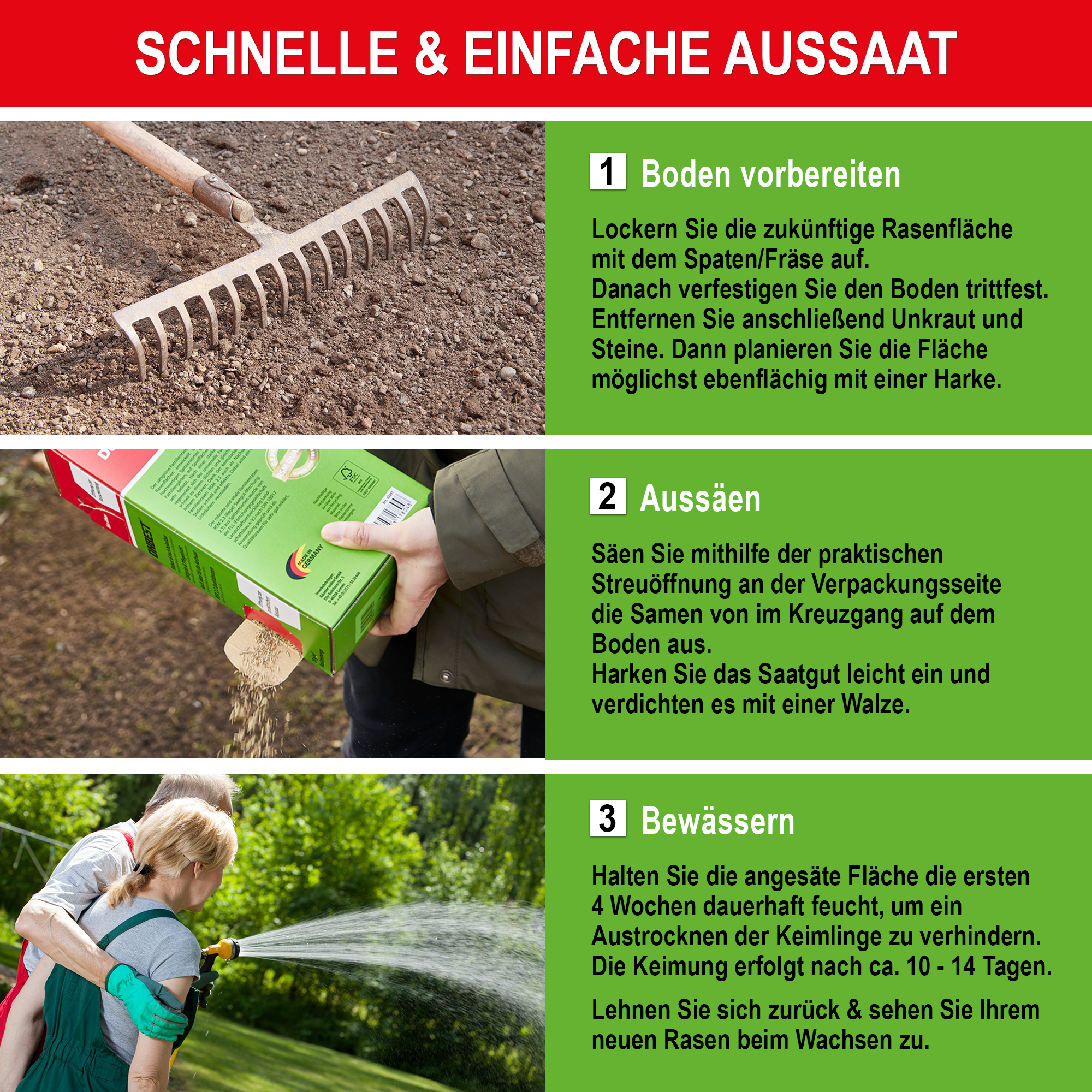 Schnelle und einfache Aussaat - Boden vorbereiten - Aussäen - Bewässern - Rasensamen - Grassamen - Rasenmischung - Sportrasen - Spielrasen - Grünflächensaat - Rasenpflanze - Rasenkeimling - Rasenwiese - Gartenrasen - Rasenpflege - Grasnachsaat