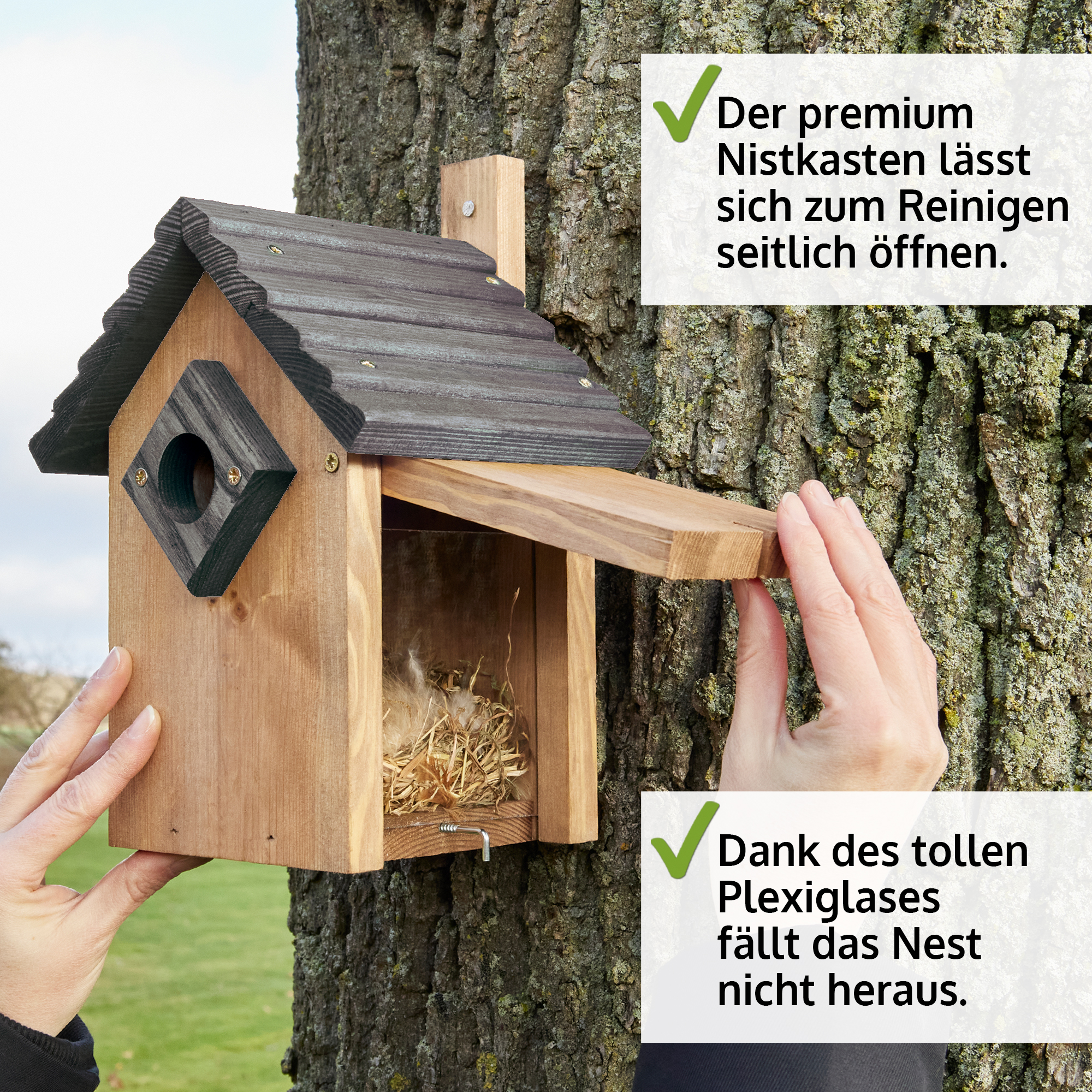 Der Nistkasten lässt sich zur Reinigung seitlich öffnen und bietet dank des Plexiglases sicheren Schutz für das Nest