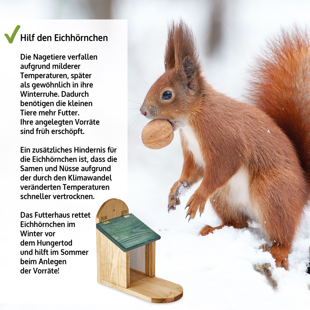 Hilf Eichhörnchen mit einer Futterstation im Winter den Hunger zu überstehen und im Sommer Vorräte anzulegen