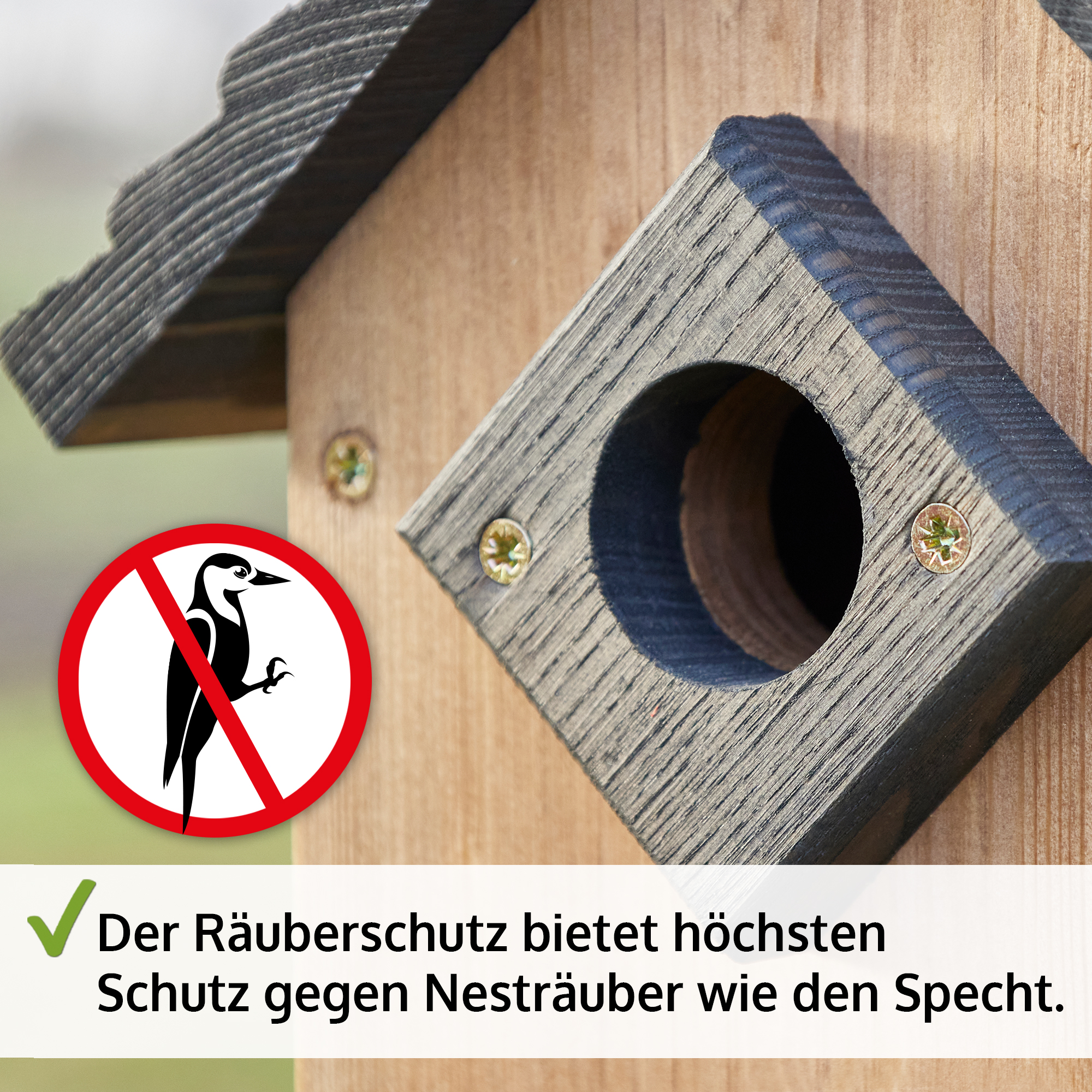 Der integrierte Räuberschutz schützt effektiv vor Nesträubern wie Spechten und sorgt für die Sicherheit der Vögel im Nistkasten