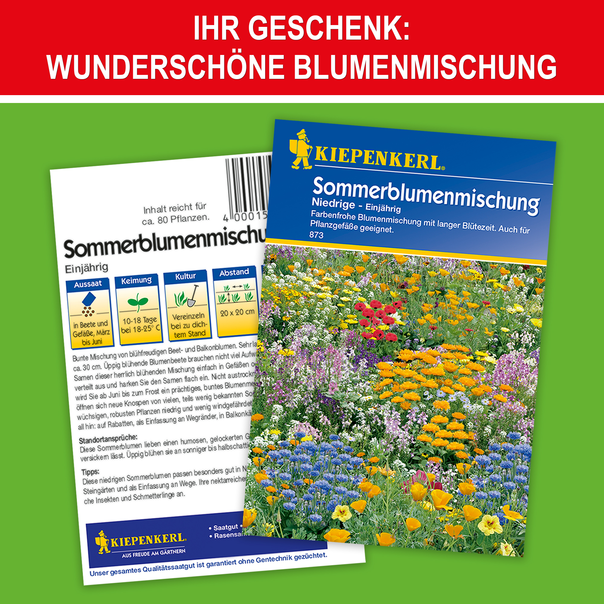 Wunderschöne Blumenmischung - Sommerblumenmischung - Farbmischung - Geschenkblumen - Blumenkeimlinge - Blumensaat - Gartenblumen - Blütenpracht - Zierpflanzen - Blütenmeer