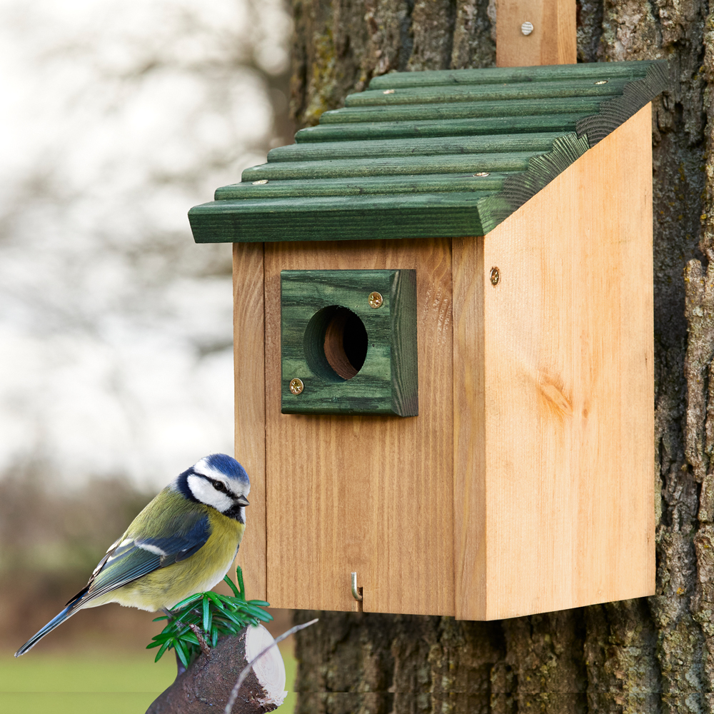 Der Nistkasten bietet den Vögeln im Garten ein sicheres Zuhause und ermöglicht dir gleichzeitig eine direkte Beobachtung der Tiere durch dein Fenster