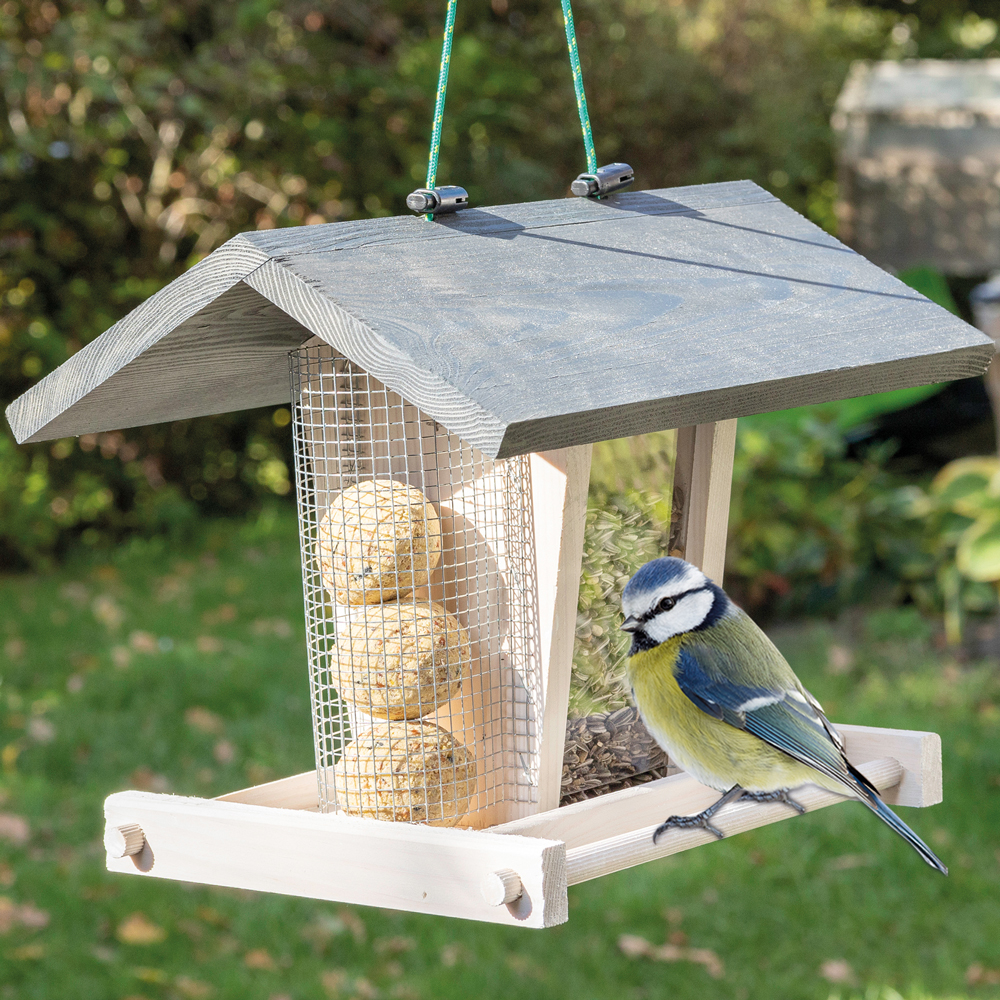 Vogelhaus Bird Kitchen im Garten mit grauem Dach und Meisenknödelhalter an dem eine Blaumeise auf der Sitzstange sitzt