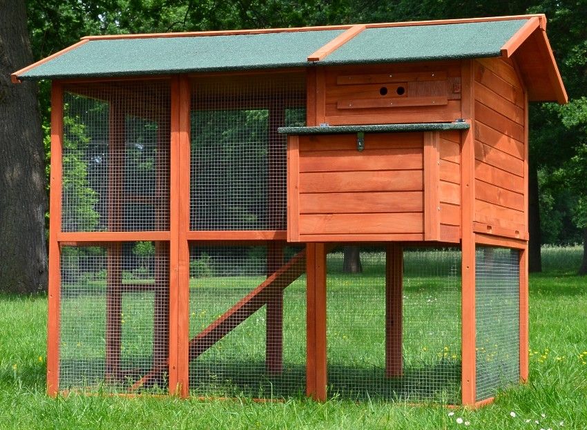 Hühnervoliere mit erhöhtem Stallbereich und großzügigem Freilauf ideal für artgerechte Hühnerhaltung im Garten wetterfest und stabil für langfristige Nutzung