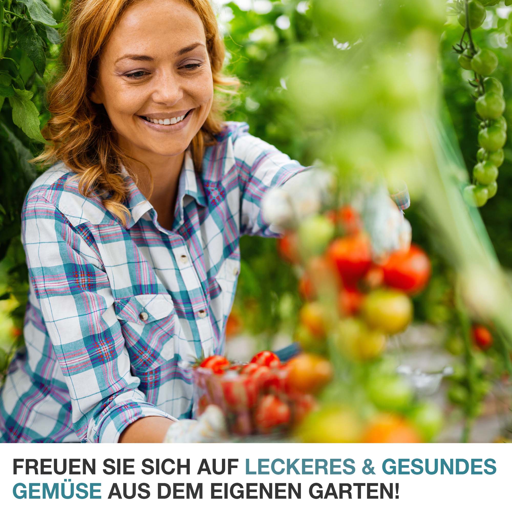 Sorgen Sie für eigenes leckeres und gesundes Gemüse für den eigenen Garten