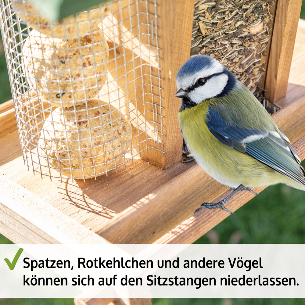 Vogelhaus Super Bird mit Sitzstangen für vielerlei Vogelarten