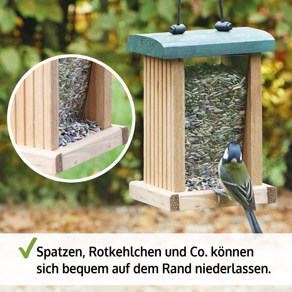 Holz-Vogelfutterspender mit grünem Dach an dem ein Vogel sitzt ideal für Spatzen Rotkehlchen und andere Vögel die sich bequem auf dem Rand niederlassen können