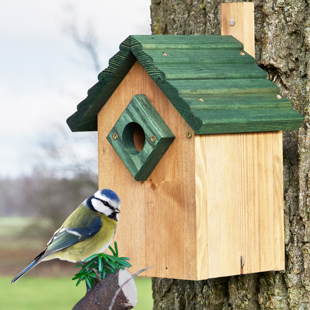 Der Nistkasten bietet den Vögeln im Garten ein sicheres Zuhause und ermöglicht dir gleichzeitig eine direkte Beobachtung der Tiere durch dein Fenster