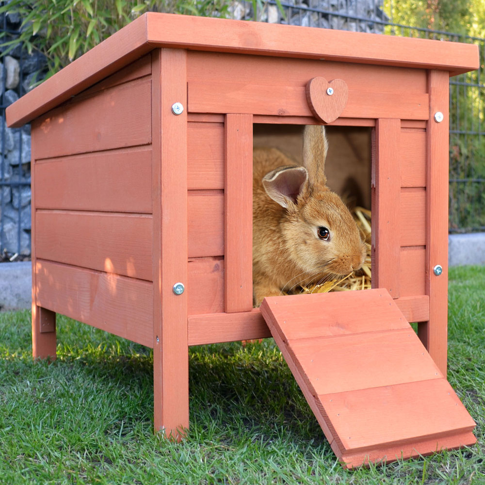 Das Hasenstall Mini Haus bietet den perfekten Rückzugsort für kleine Tiere, in dem sie sich sicher fühlen können