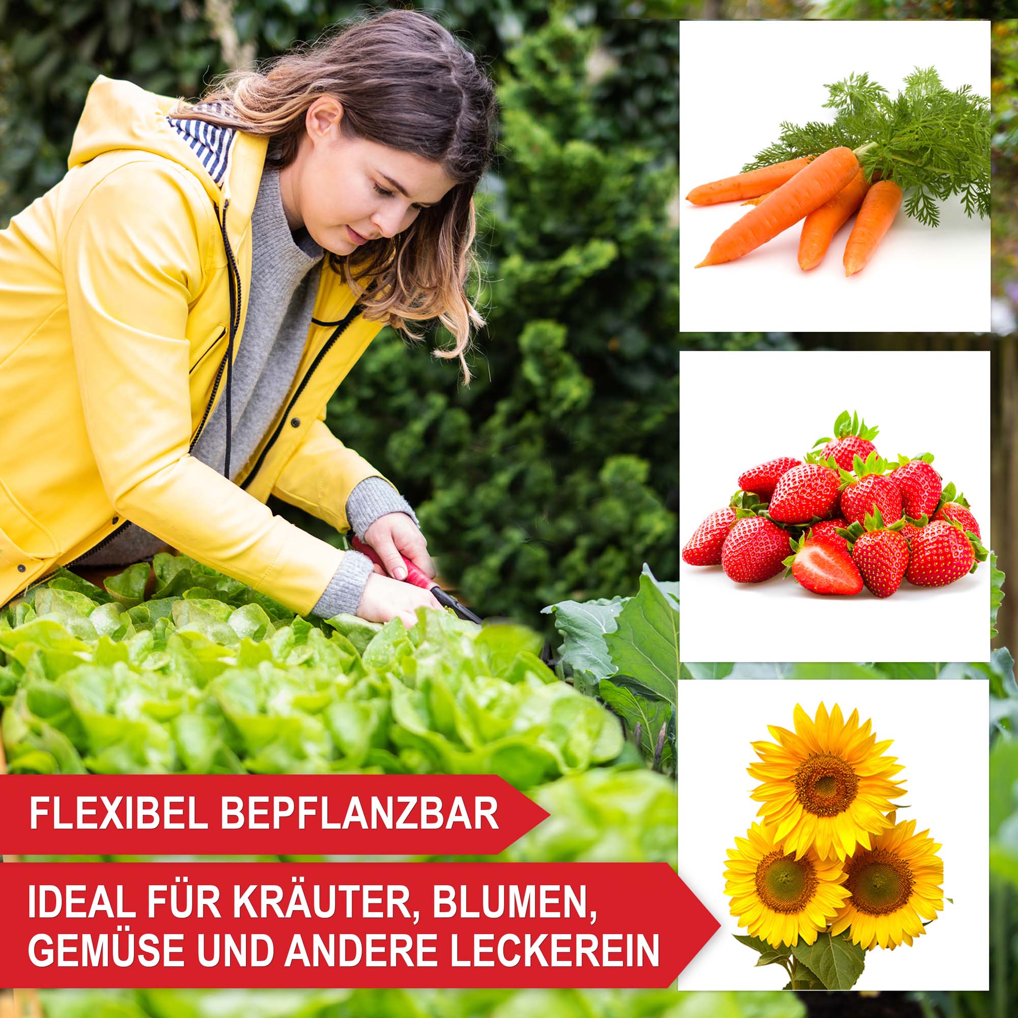 Hochbeet Summer XXL - flexibel bepflanzbar - ideal für Kräuter, Blumen, Gemüse und andere Leckereien - Pflanzenbeet - Pflanzkasten - Blumenkasten