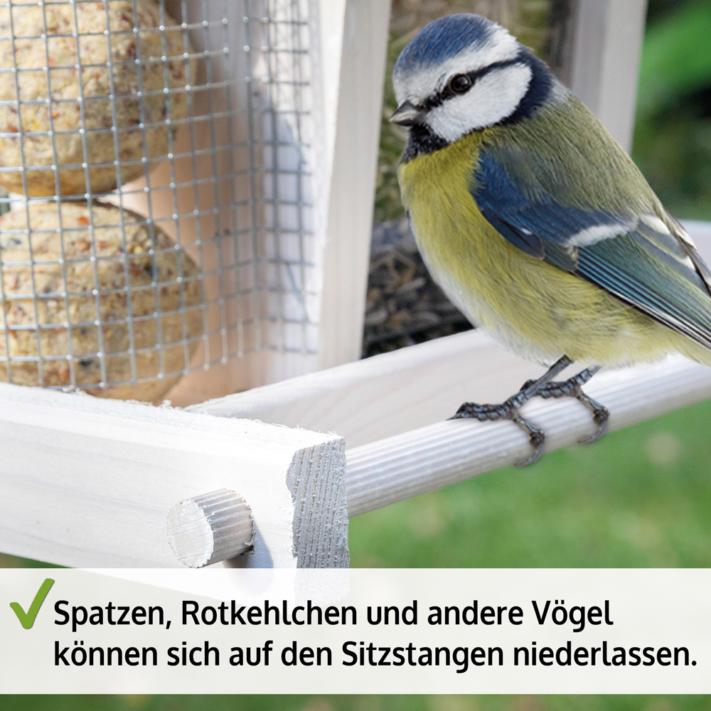 Vogelhaus Bird Kitchen mit einer Blaumeise auf der Sitzstange auch geeignet für Spatzen Rotkehlchen und andere Vögel