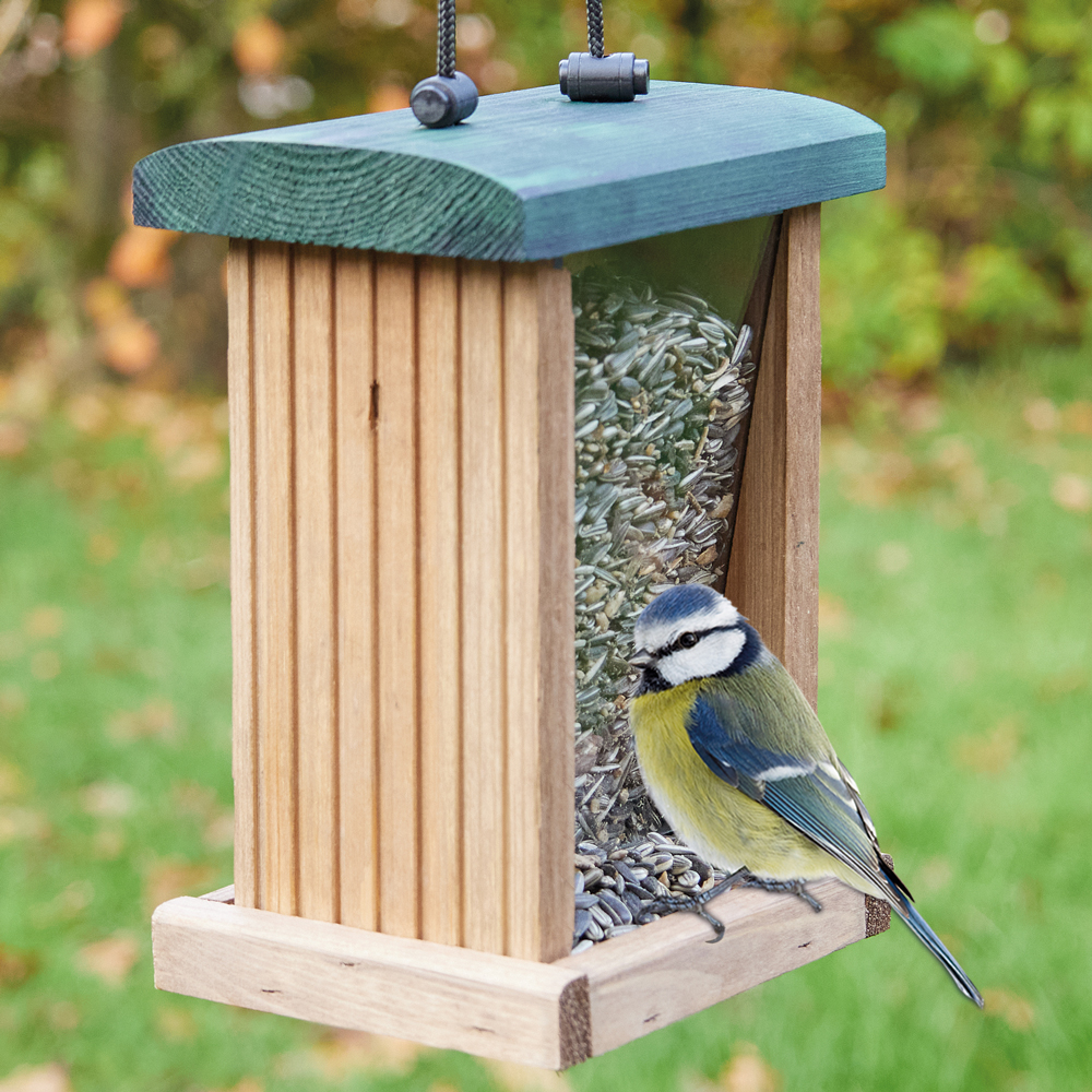 Holz-Vogelfutterspender mit grünem Dach, gefüllt mit Sonnenblumenkernen an dem eine Blaumeise sitzt vor unscharfer Grünfläche