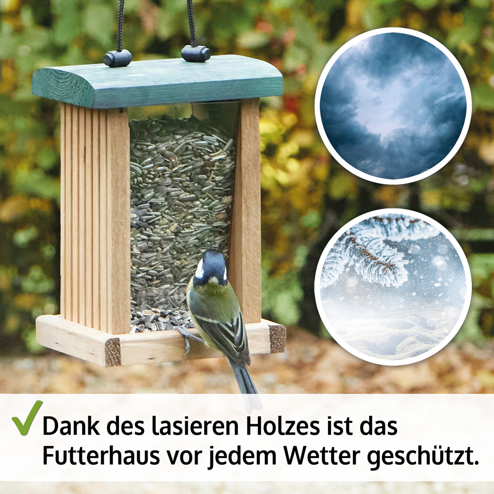 Holz-Vogelfutterspender mit lasiertem Holz das vor jedem Wetter schützt ein Vogel sitzt auf dem Rand