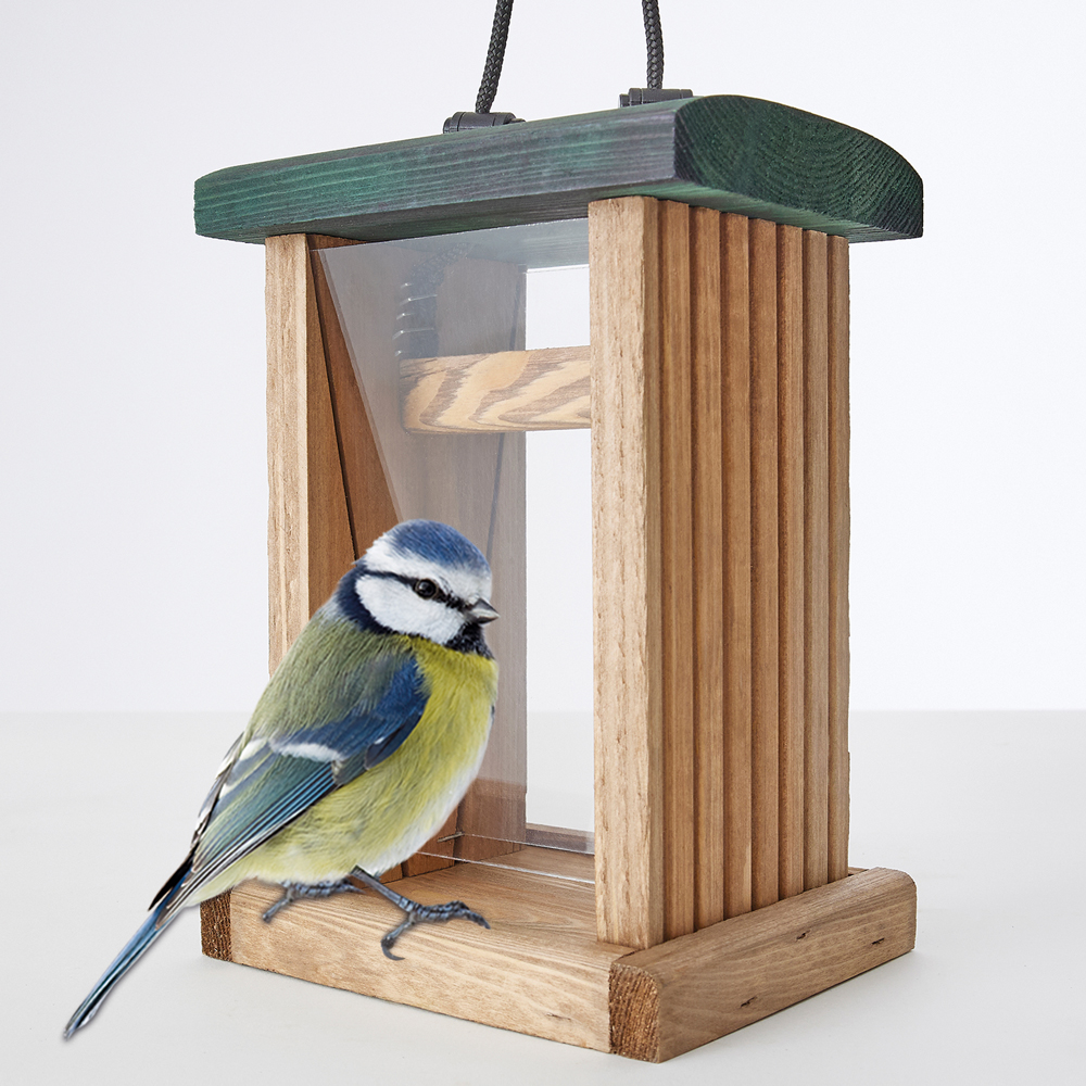 Vogelfutterhaus aus Holz mit grünem Dach, an dem eine Blaumeise sitzt