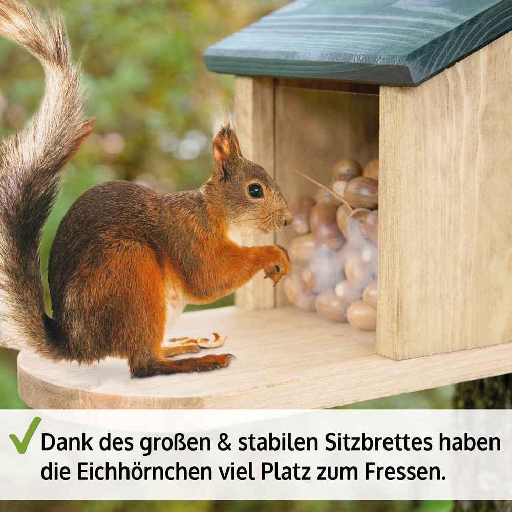 Eichhörnchen Futterstation mit großem stabilen Sitzbrett bietet viel Platz zum Fressen